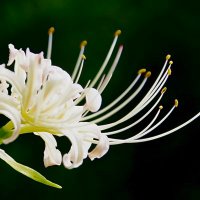 もりこ❁ (@mollico77) 's Twitter Profile Photo