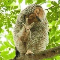 chrfrber (@chrfrber) 's Twitter Profile