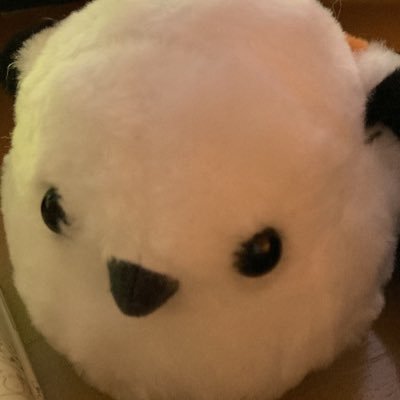 vMPH0J4wl076546's profile picture. YNU経営学部 B1 06 アコスタ／軽音／ロカモビ