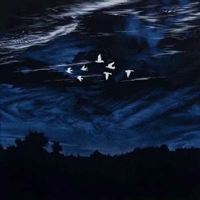 diksarabiru's profile picture. 