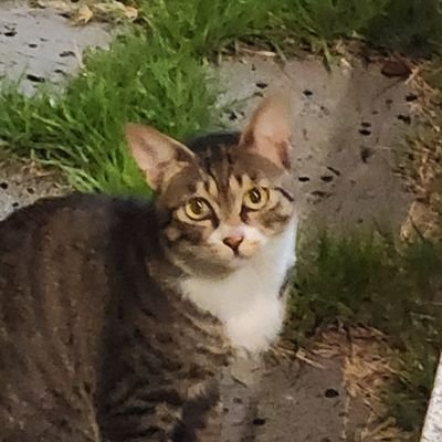 XRP1O000's profile picture. 