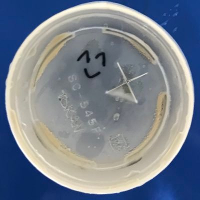 sagaeshi2's profile picture. 作り直しました。ホークスファンでたまに中日