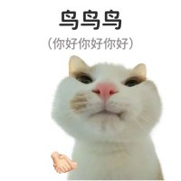 赵 (@zhao030224) 's Twitter Profile