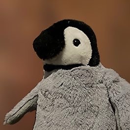 ごよぺんさんのプロフィール画像