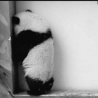 öğretmenbey06 (@yt06_) Twitter profile photo