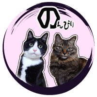 キリアスの母 🐻💜🌈のんびり夫婦 (@pon_mokalove) 's Twitter Profile Photo キリアスの母 🐻💜🌈のんびり夫婦 (@pon_mokalove) 's Twitter Profile Photo