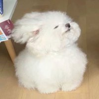 ♥️ (@__d26k) 's Twitter Profile