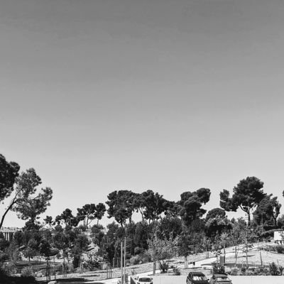 R_E_L_G's profile picture. Trabajador y responsable