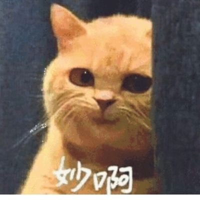 Camie82175352's profile picture. kaixin