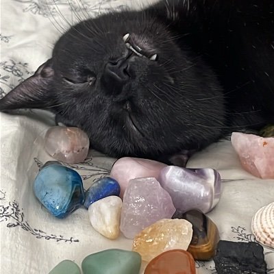 Lo_inesta's profile picture. poeta bastante torturada 😔😮‍💨 solo hablo de taylor swift