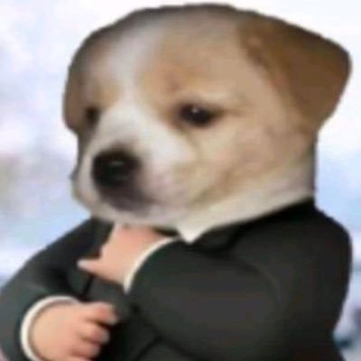 nanolizard42's profile picture. 