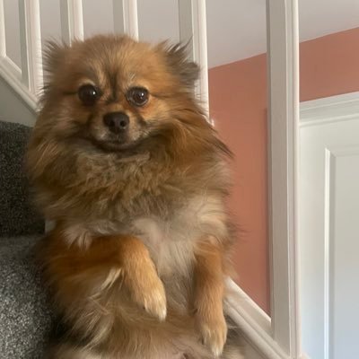 BobsterMCR's profile picture. 