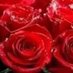 A (@maram90c) Twitter profile photo A (@maram90c) Twitter profile photo