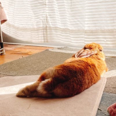 𝐔𝐓𝐆さんのプロフィール画像