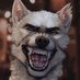 Connor the Goodboi (@jackson2815678) Twitter profile photo Connor the Goodboi (@jackson2815678) Twitter profile photo