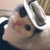 より明るい (@ymingrui95002) Twitter profile photo より明るい (@ymingrui95002) Twitter profile photo