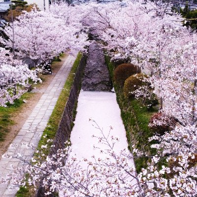 a(b)ya(3)さんのプロフィール画像