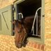 Charlock Stud-Graham&Carla (@charlockstud) Twitter profile photo Charlock Stud-Graham&Carla (@charlockstud) Twitter profile photo
