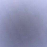 Donnie Groot (@grootdonnie) 's Twitter Profile