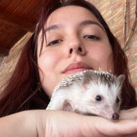 vrene (@rvrenely) 's Twitter Profile