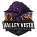 Valley Vista Boys Basketball (@vvhs_basketball) Twitter profile photo Valley Vista Boys Basketball (@vvhs_basketball) Twitter profile photo