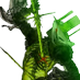 HATE. (@1000betrayals) Twitter profile photo HATE. (@1000betrayals) Twitter profile photo