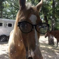 vivi apresentadora agora tbm vitssolos (@ripvitt) 's Twitter Profile