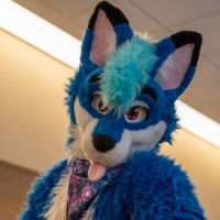 รtu Fox (@atufox) 's Twitter Profile Photo รtu Fox (@atufox) 's Twitter Profile Photo