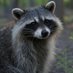 AI Trash Panda (@aitrashpanda) Twitter profile photo AI Trash Panda (@aitrashpanda) Twitter profile photo