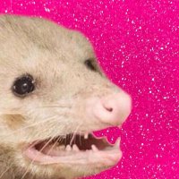puppy bug (@puppybug666) 's Twitter Profile