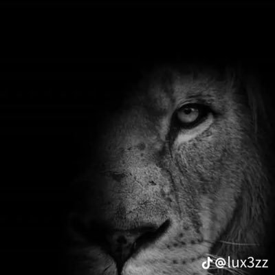 thelionrettm's profile picture. 