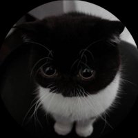 nnn🏛️ (@2yllllllllllll) 's Twitter Profile