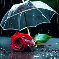 hamidullah ansari (@hmydallh_ansary) 's Twitter Profile