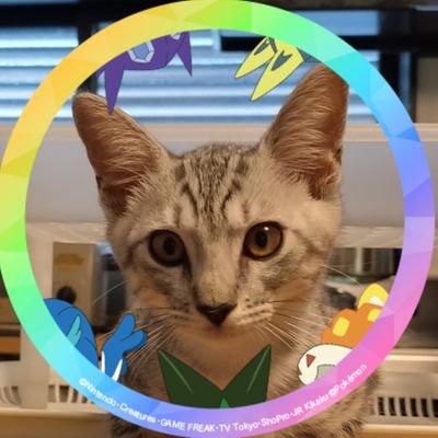 ラシェル(スイレン)さんのプロフィール画像