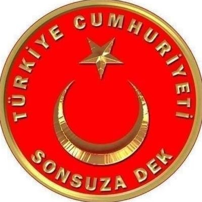 sertackartal_'s profile picture. 🇹🇷TÜRK MİLLİYETÇİSİ 🔆İYİPARTİ ÇANKAYA (E) İLÇE SEKRETERİ  •••HACETTEPE Ü. FİNANS YL •••ANKARA Ü. M.I.S. •••VERİ YONETİMİ OKULU #sonkale #iyiparti