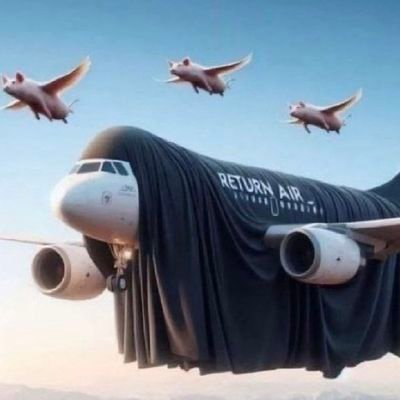 Mauldasch448310's profile picture. 