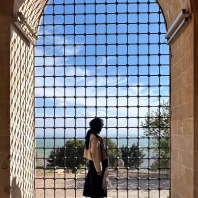 seymakuralkan's profile picture. PhD Candidate in Interpersonal Communication 🍉