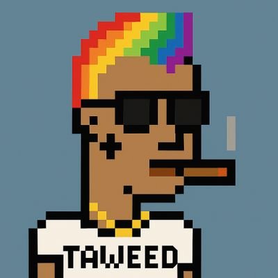 TheRealTaweed's profile picture. Still bricking! 🪖 ▪︎ Degen 📈