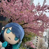 桜庭レオ 🍁 (@fvultcgedupugmq) 's Twitter Profile