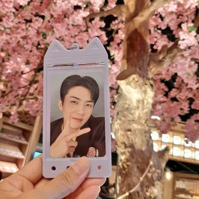 asukasukisuさんのプロフィール画像