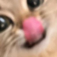 MD (@akillanmamben) Twitter profile photo