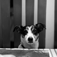 ERNIE (@ernie_frequency) 's Twitter Profile