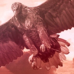 kocuryPLpolicy's profile picture. Polityka bez tajemnic