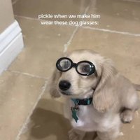 OfdOfd (@ofdofdfb) 's Twitter Profile