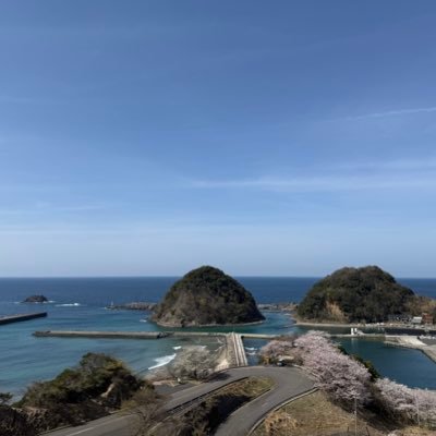 kotoura31's profile picture. 海、渓、街 🏞️ 花、猫、魚 🌃 🏕️ 🐈⬛