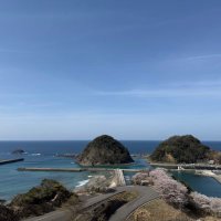 kotoura (@kotoura31) 's Twitter Profile