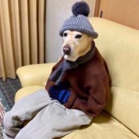 Ndakennye (@umukiresha) 's Twitter Profile