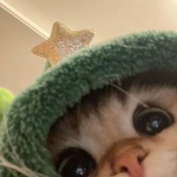 . (@kaiykyu) 's Twitter Profile