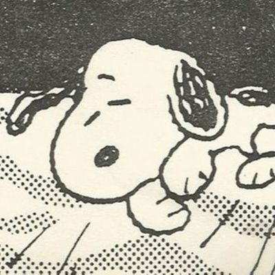 aamqn23_'s profile picture. คอปเปอร์เป็นคนที่ผมสนิทที่สุด เป็นคนที่ผมจะไม่จบแค่มาทำงานด้วย เป็นคนที่ผมอยากใช้ชีวิตกับเขาต่อไปเรื่อยๆ  เอาจริงๆ ผมใส่ใจมันมากๆ โคตรรักคนชื่อคอปเปอร์เลย