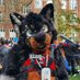 Cliff ๐๐งก ๐ Cfz/MegaPlex (@cliff_747) Twitter profile photo Cliff ๐๐งก ๐ Cfz/MegaPlex (@cliff_747) Twitter profile photo